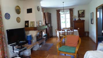 Télévision, cheminée, lecteur de DVD, livres