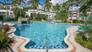 A swimming pool with a wavy edge, surrounded by palm trees and a hotel building in the background.