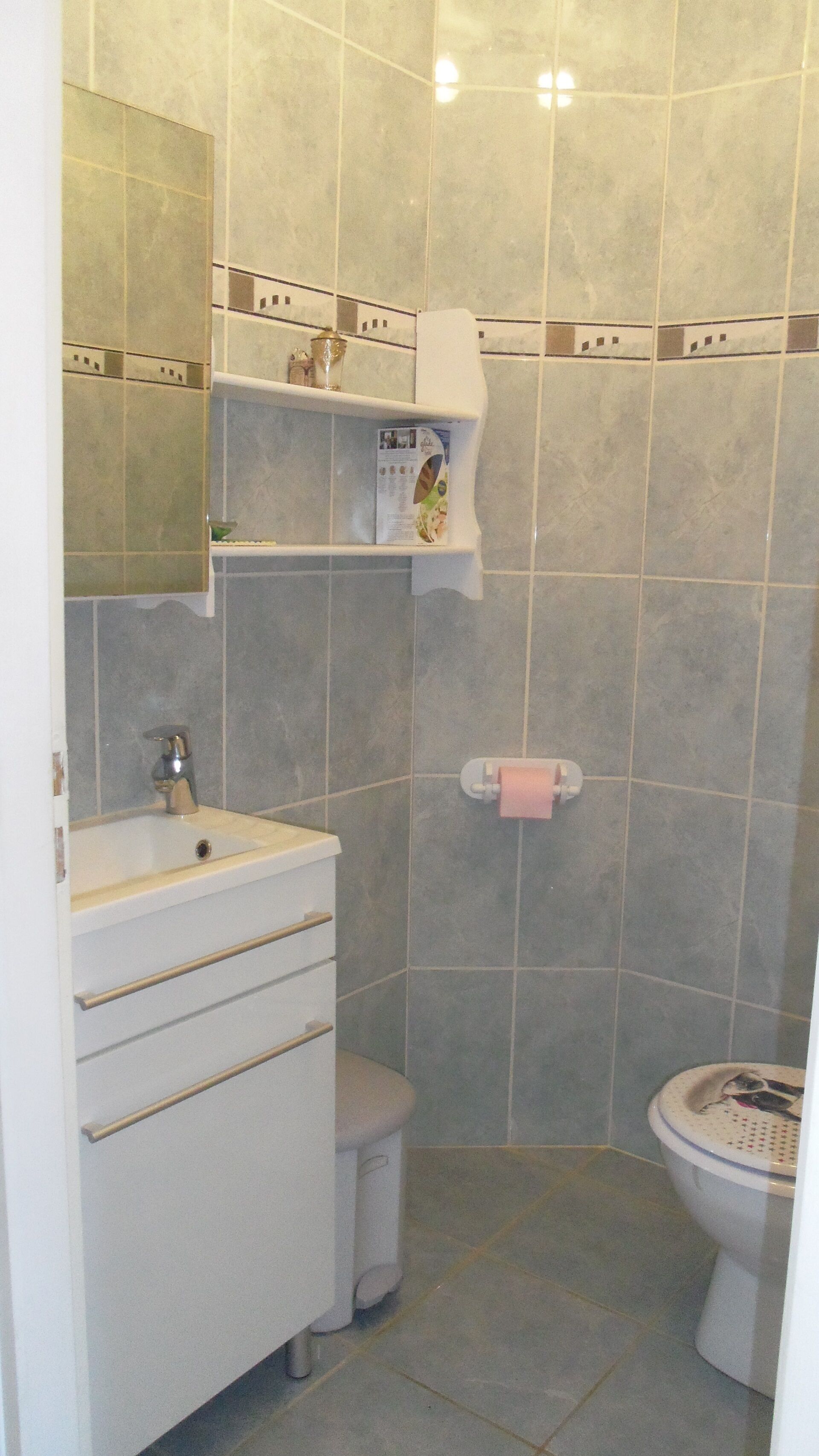 A bathroom with a sink, mirror, toilet, and shelves with toiletries.