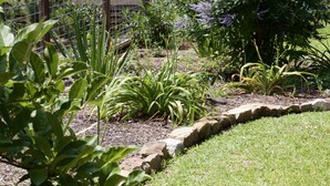 Un jardí amb plantes diverses i una tanca de fusta.