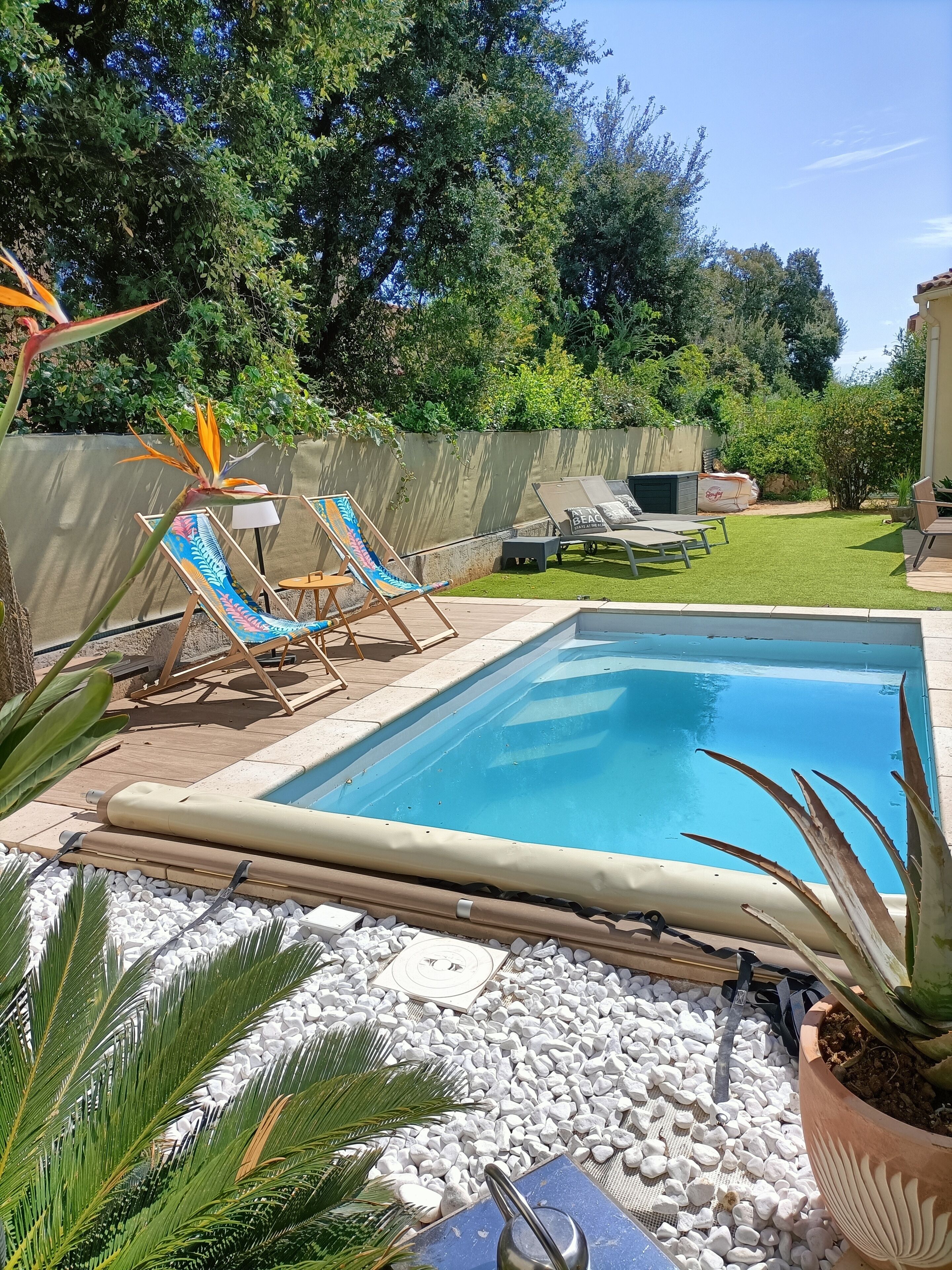 A swimming pool with lounge chairs, a potted plant, and a garden area.