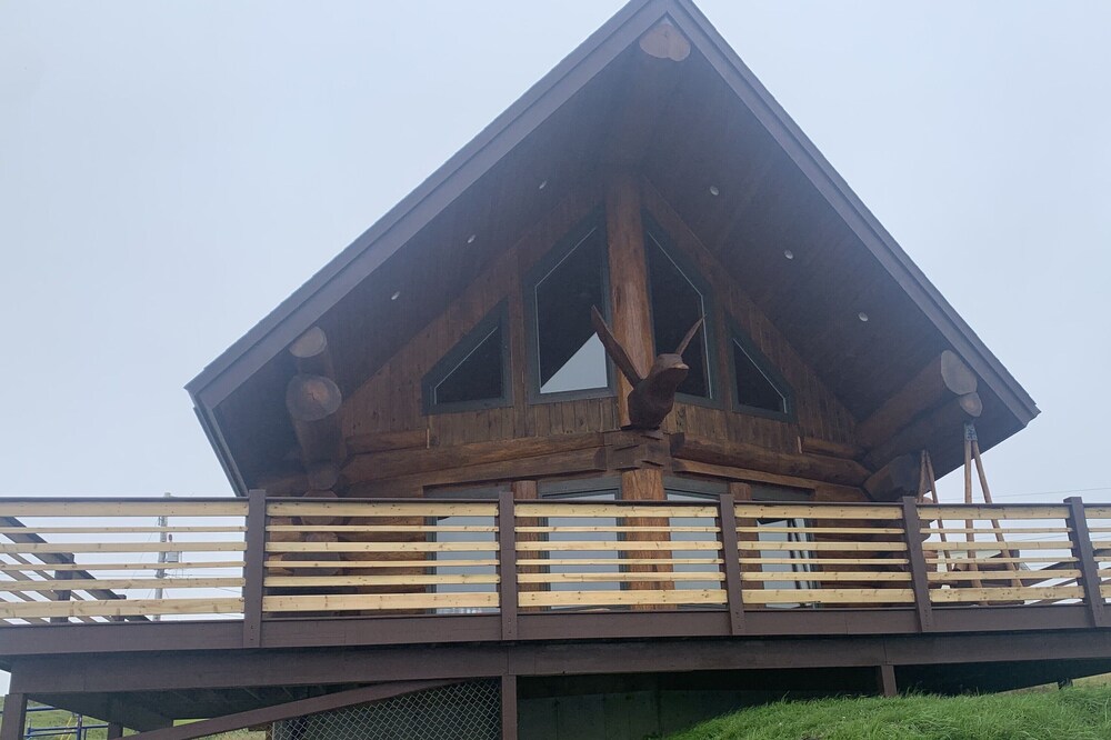 "The Duck" Cedar Log Home Rental - Sleeps 12!!