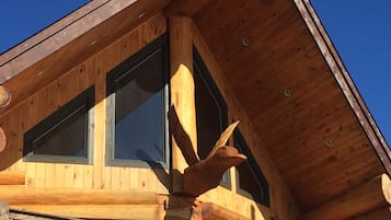 Detalle del exterior