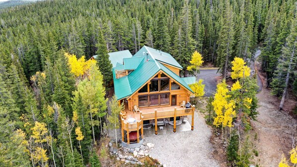 A log cabin with a green roof surrounded by dense forest.