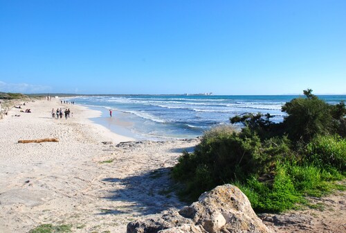 Finca dans un endroit magnifique et absolument calme, à proximité de la plage de rêve Es Trenc