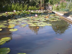 Property grounds - All the charm of Périgord ...holiday house near Bergerac with your pets (Lanquais)