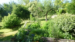 Un jardin luxuriant, avec une variété de plantes et une clôture en bois.