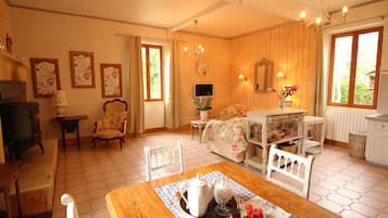 Télévision, cheminée, lecteur de DVD, baby-foot