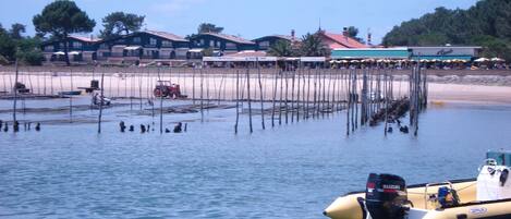 Plage à proximité, chaises longues