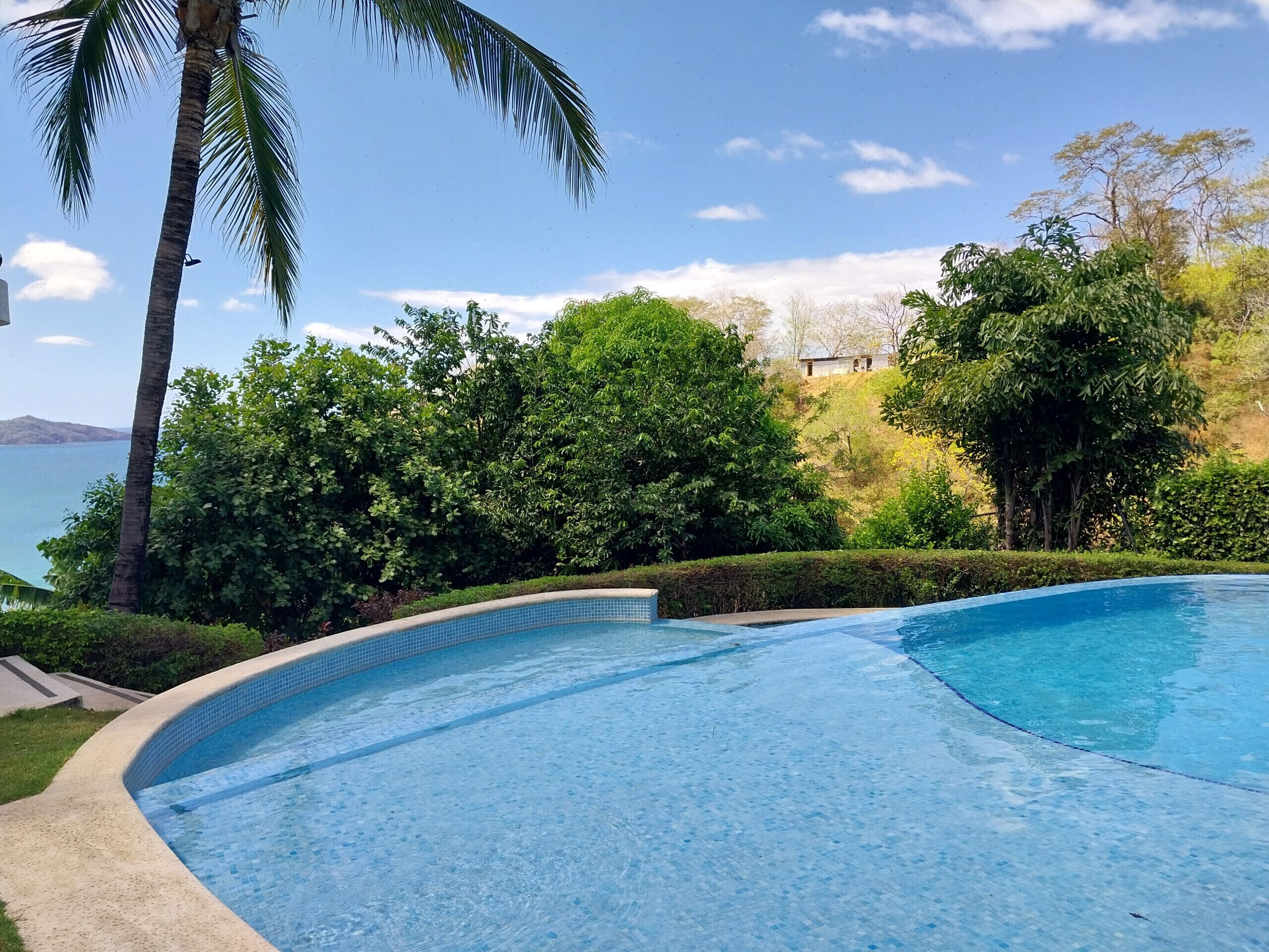 A swimming pool with a tiled edge, surrounded by lush greenery and a view of the sea.