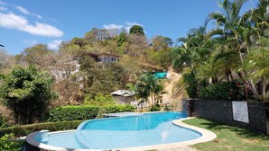 Ein Pool mit geschwungener Kante, umgeben von gepflegtem Rasen und Palmen.