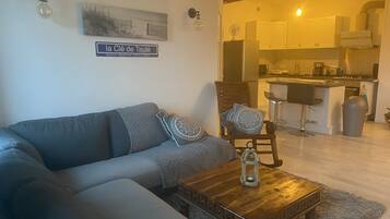 Televisie, een open haard, videospelletjes en een dvd-speler