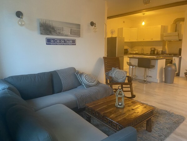 Télévision, cheminée, jeux vidéo, lecteur de DVD