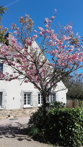 Superbe Gîte passiflore entre Terre et Mer
