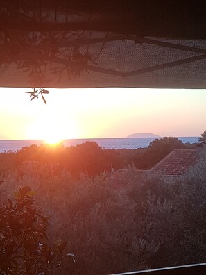 Vista desde la propiedad