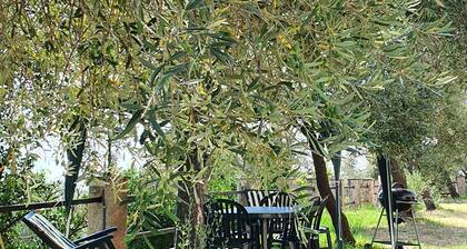 Erdgeschosswohnung, Meerblick, großes ruhiges Grundstück