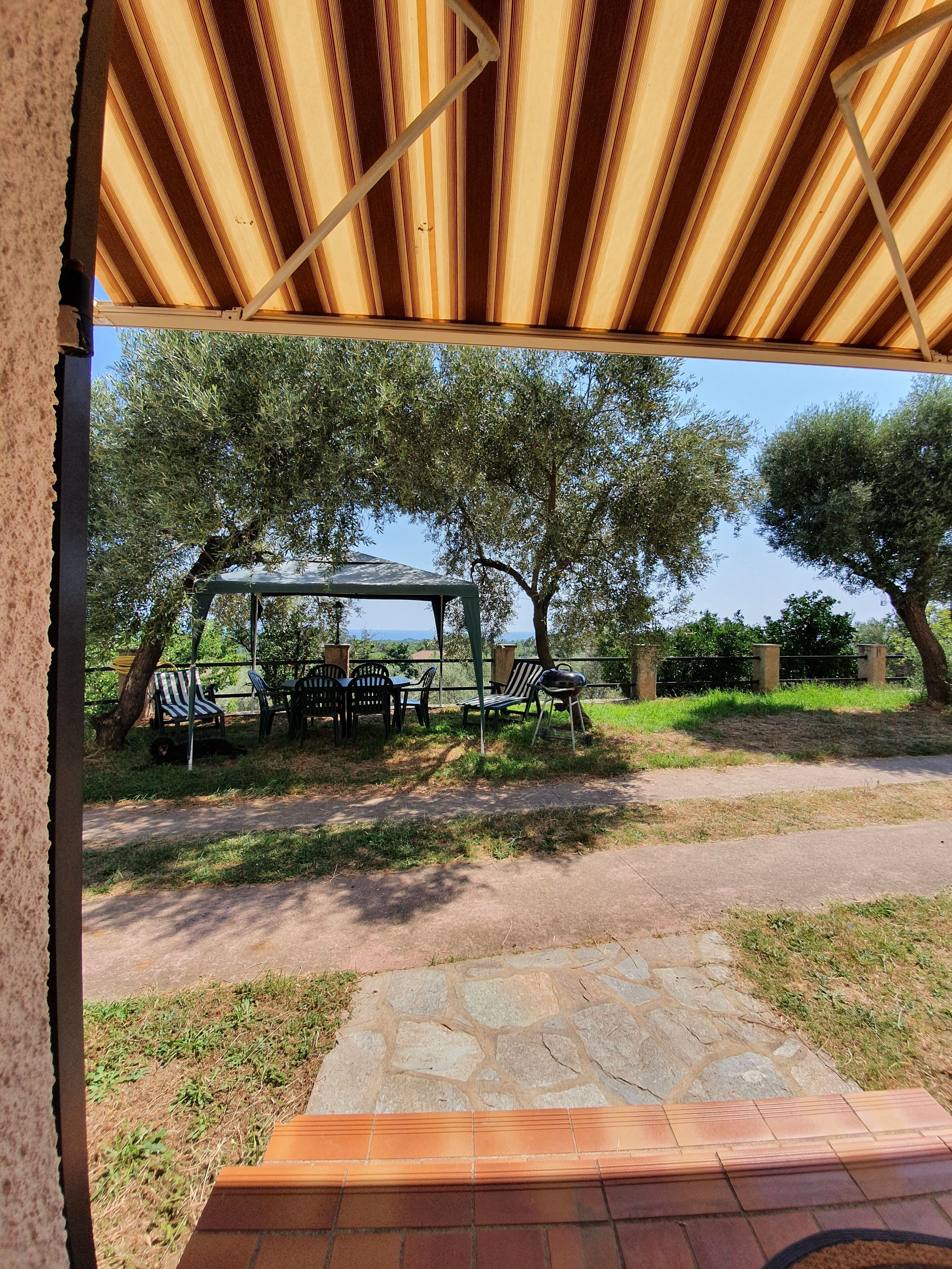 An outdoor patio area with a covered seating area, stone pathway, and trees in the background.