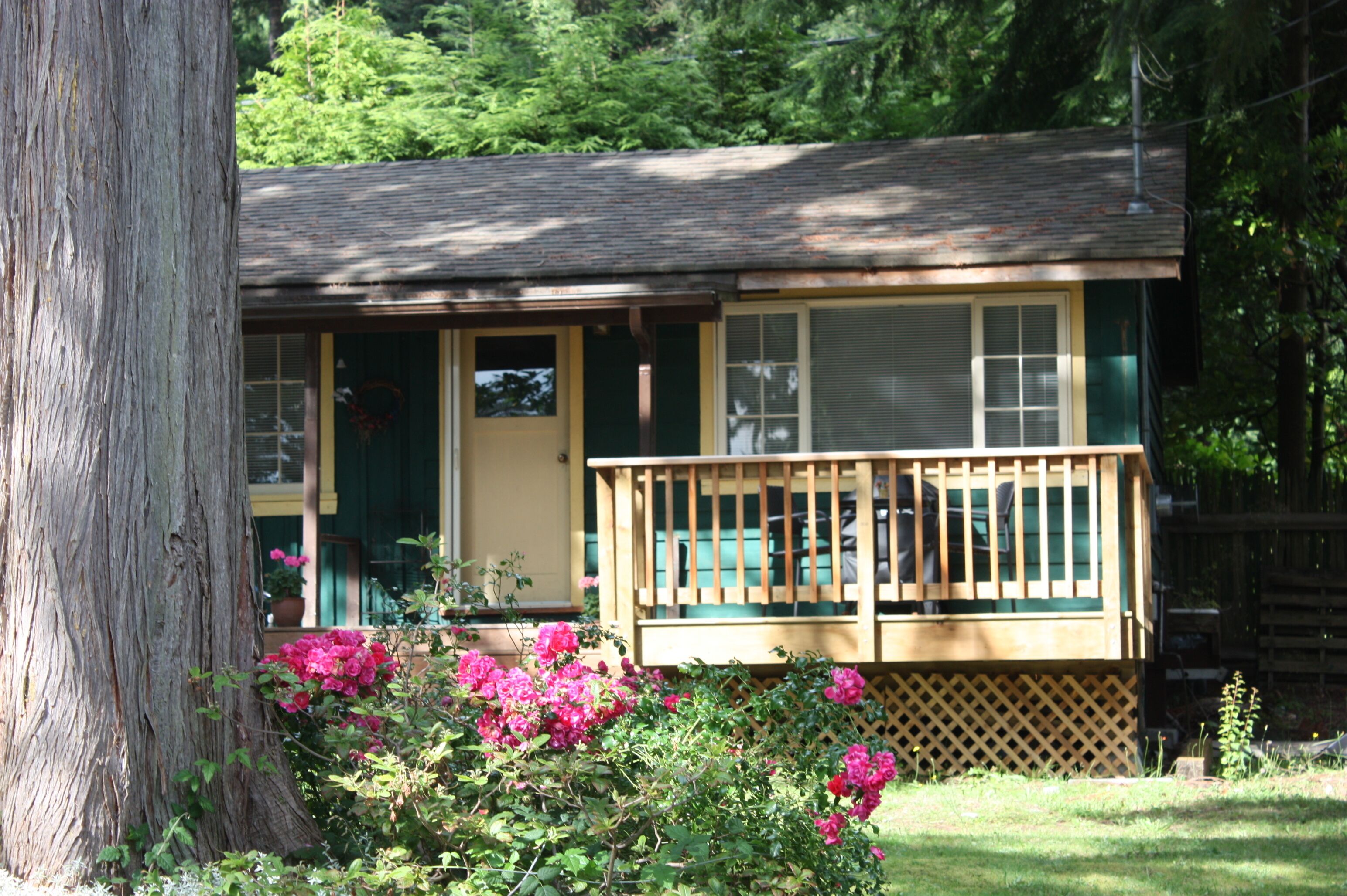 Warm, comfortable, cozy cottage with partial  ocean view and beach access
