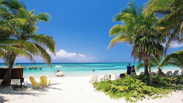 A beach with white sand, palm trees, and a clear blue sky. - Boat House Beach Suite by Island House Vacation Rentals (West Bay)