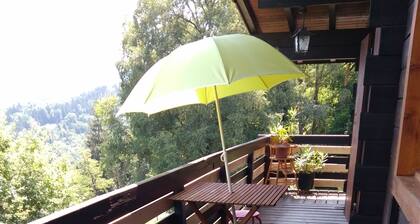 Chalet 90mÂČ surplombant le lac d'annecy