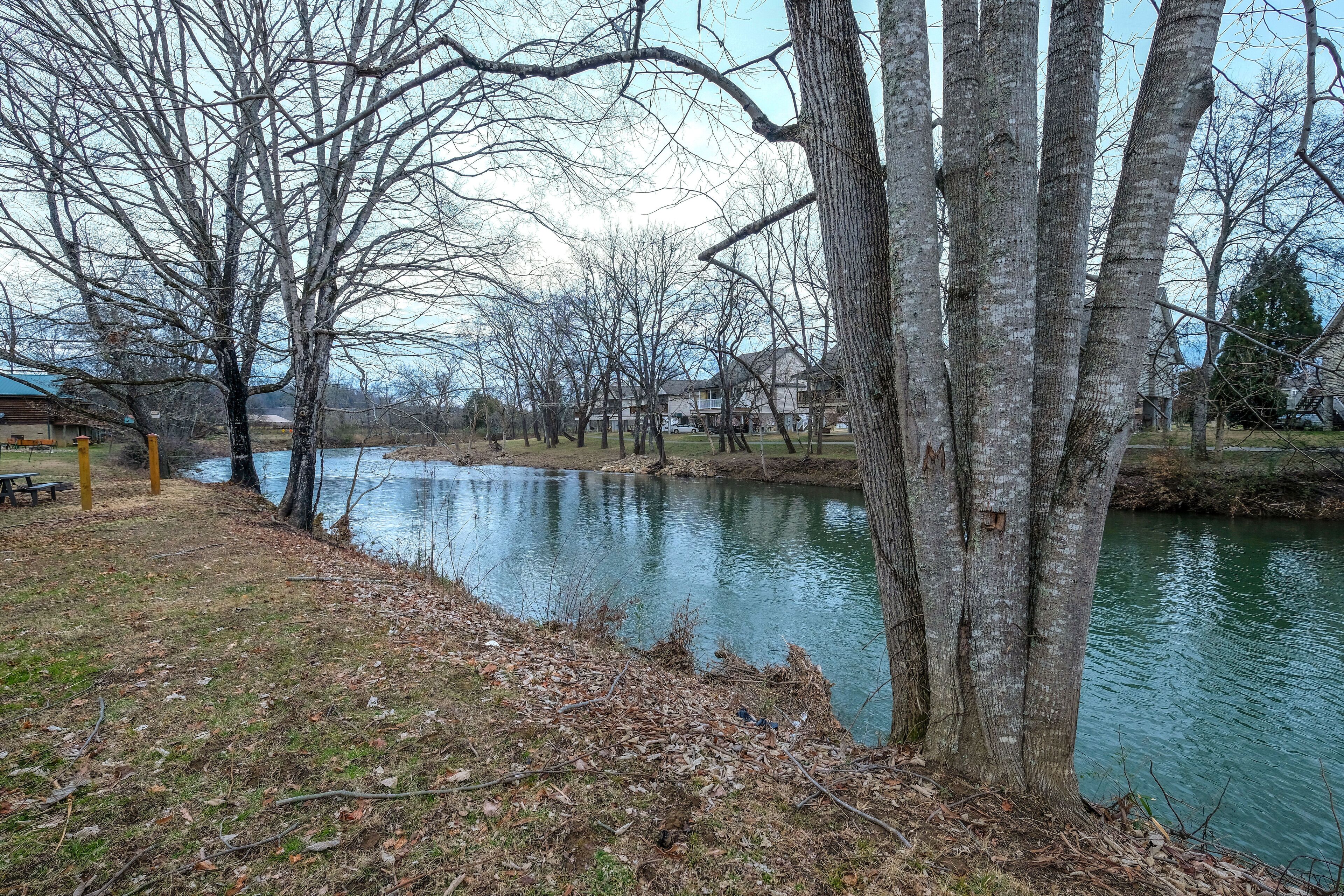 Un parco lungo il fiume con alberi e una panchina.