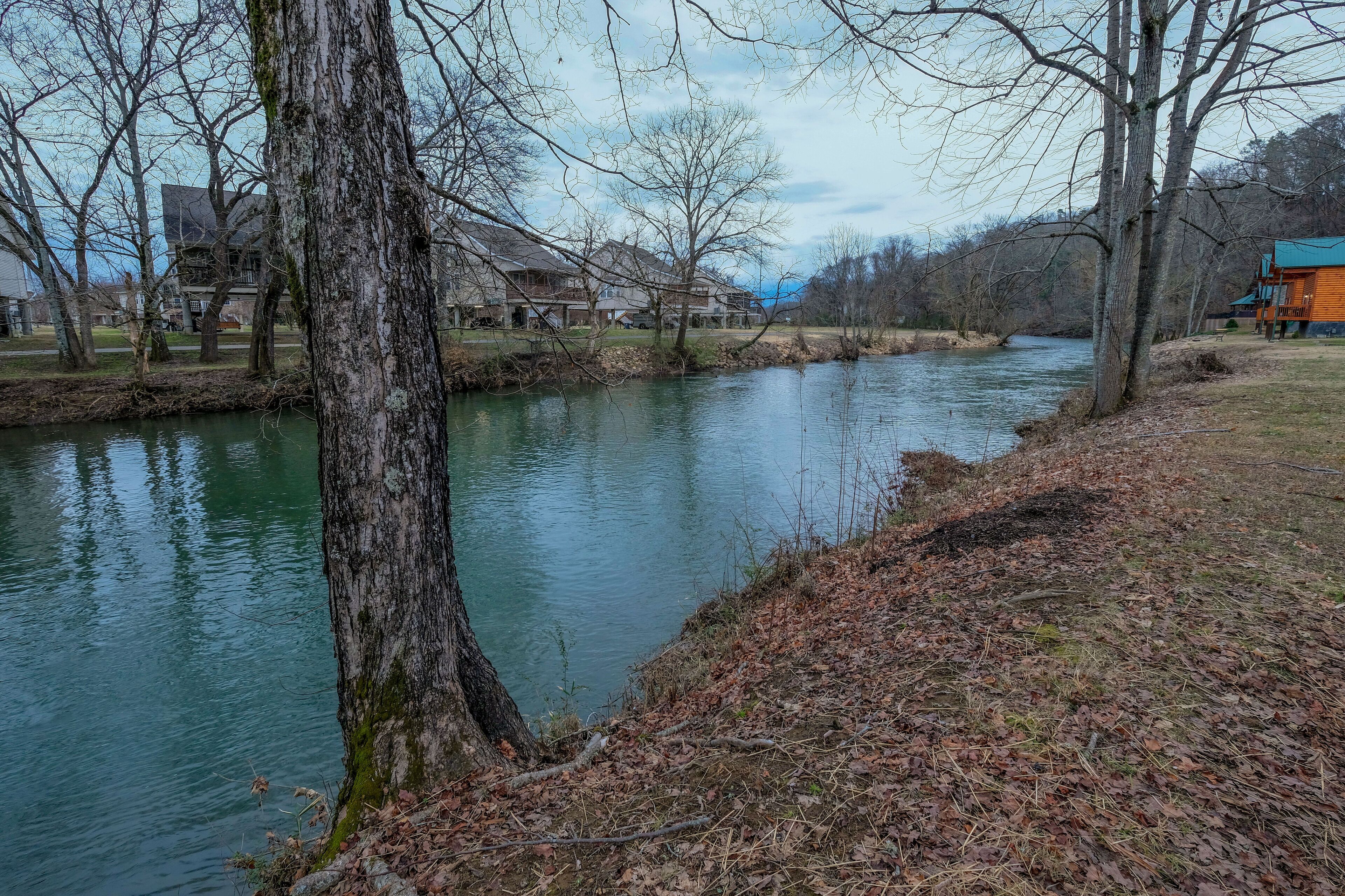Une rivière, avec un arbre sur la rive gauche et un bâtiment sur la rive droite.