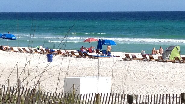 A beach with rows of sun loungers and umbrellas, a fence in the foreground, and the ocean in the background. - Great Family Fun On The Emerald Coast In A Gated Resort. (Panama City Beach)