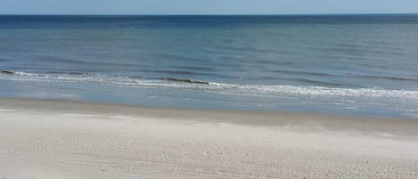 On the beach