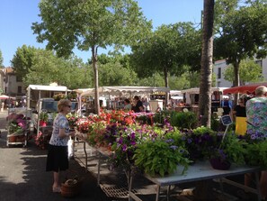 Een buitenmarkt met diverse kraampjes waar bloemen en planten worden verkocht.