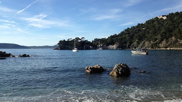 在海灘附近