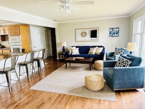 Smart TV, DVD player - Fun on Lake Hamilton's Main Channel (Hot Springs)