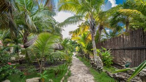 A garden pathway surrounded by palm trees and various plants, leading to a wooden fence. - Sea Front Property - "Sea Turtle" pool/bikes included/tours! (San Pedro)
