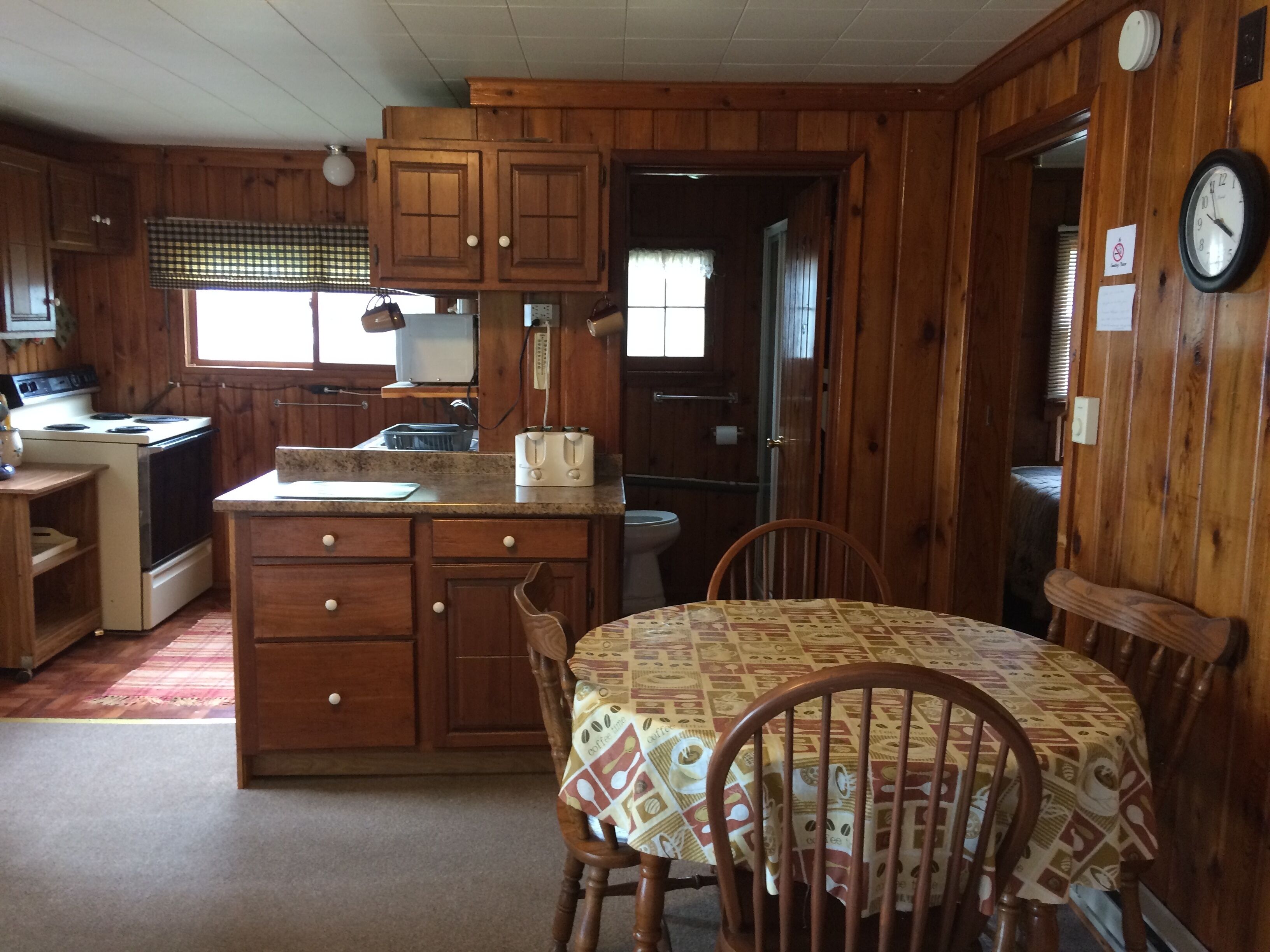 Quaint Cabin With Awesome Views of Lake Metonga