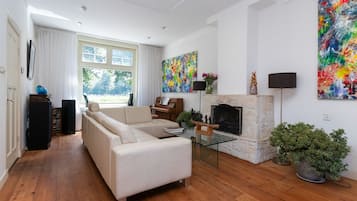 TV, fireplace, DVD player, books