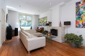 TV, fireplace, DVD player, books