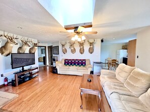 Flat-screen TV, fireplace