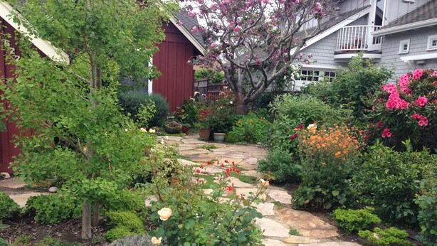 A garden with a stone pathway, various plants, and a red building in the background. - Peaceful Escape, Tropical Gardens, Easy Walk to Beach & Eats  (Capitola)