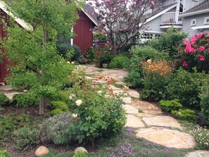 Ein Garten mit einem Kiesweg, verschiedenen Pflanzen und einem roten Gebäude im Hintergrund.