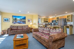 TV, fireplace, DVD player