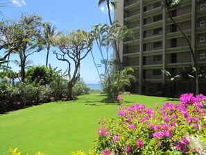 Parco della struttura