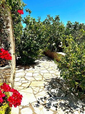 Property grounds - Anna's Unique Stone House with Pergola & Garden (Chania)