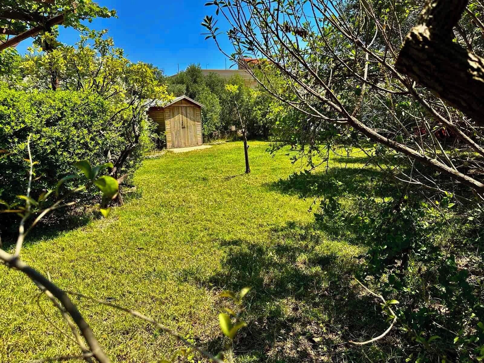Un’area erbosa con una piccola struttura in legno, circondata da fitta vegetazione e alberi.