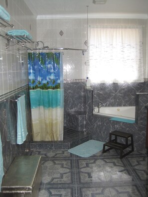 Dusche, Whirlpool, Haartrockner, Handtücher