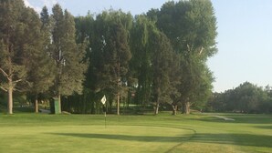 A golf course with a putting green, trees, and a flag.