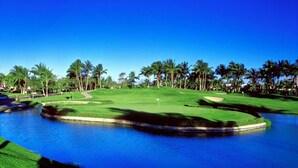Un campo de golf con un obstáculo acuático, palmeras y un cielo azul despejado.