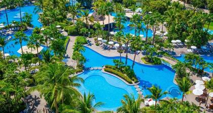 Grand Mayan Nuevo Vallarta Resort. 1 Bedroom suite kitchen.