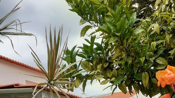 A fenced backyard with a pool, outdoor furniture, and potted plants. - Rio ... Beaches ... Lisbon, Ideal for families with children and pets. (Almada)