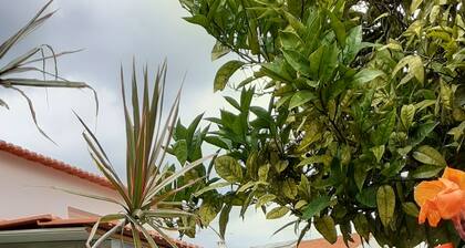 Rio ... Beaches ... Lisbon, Ideal for families with children and pets.