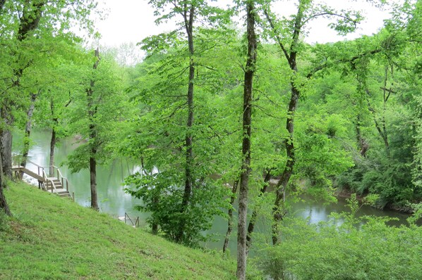 A serene lakeside area with a wooden staircase leading down to the water, surrounded by lush green trees.
