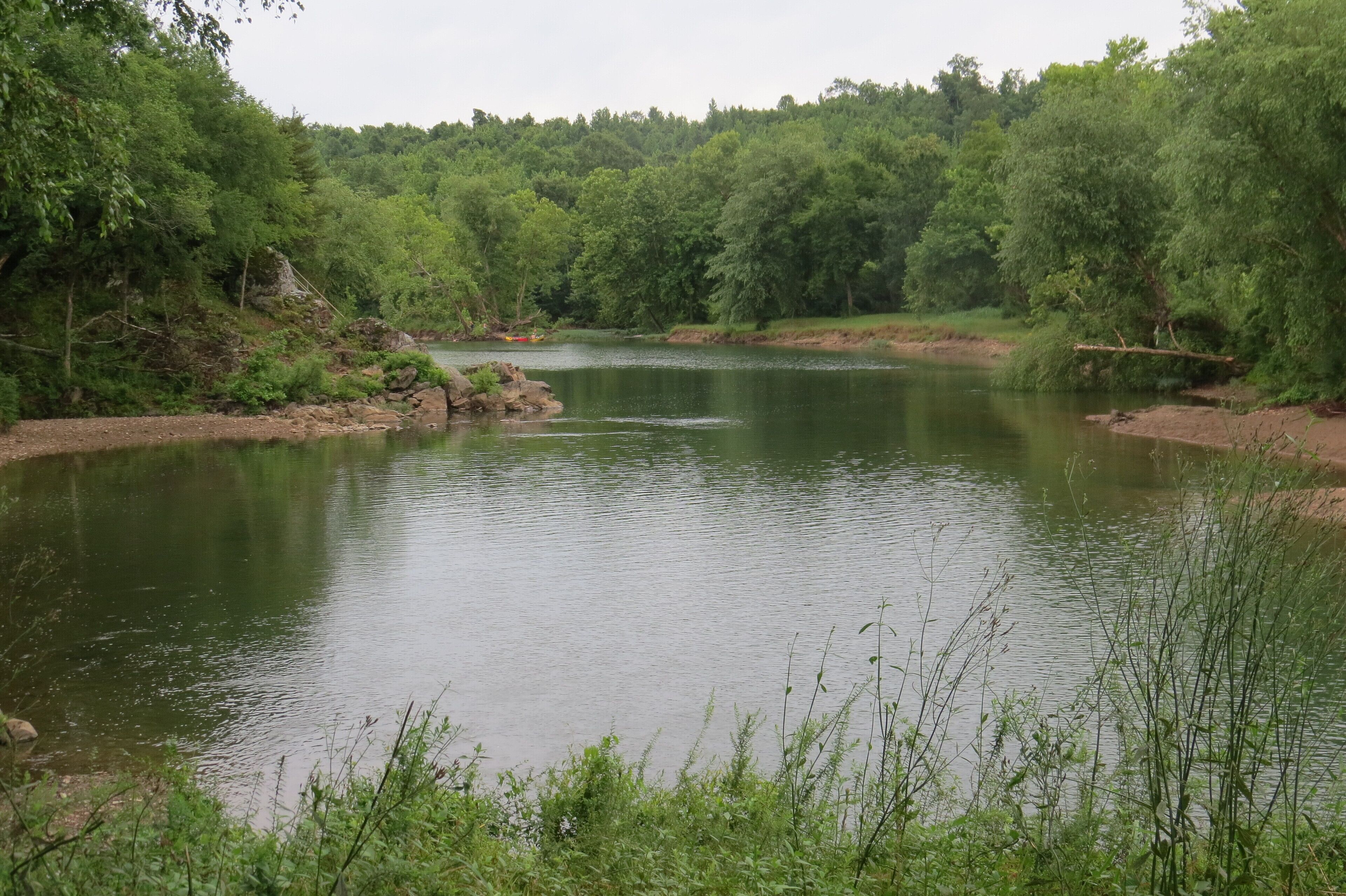 A serene lake surrounded by dense forest.